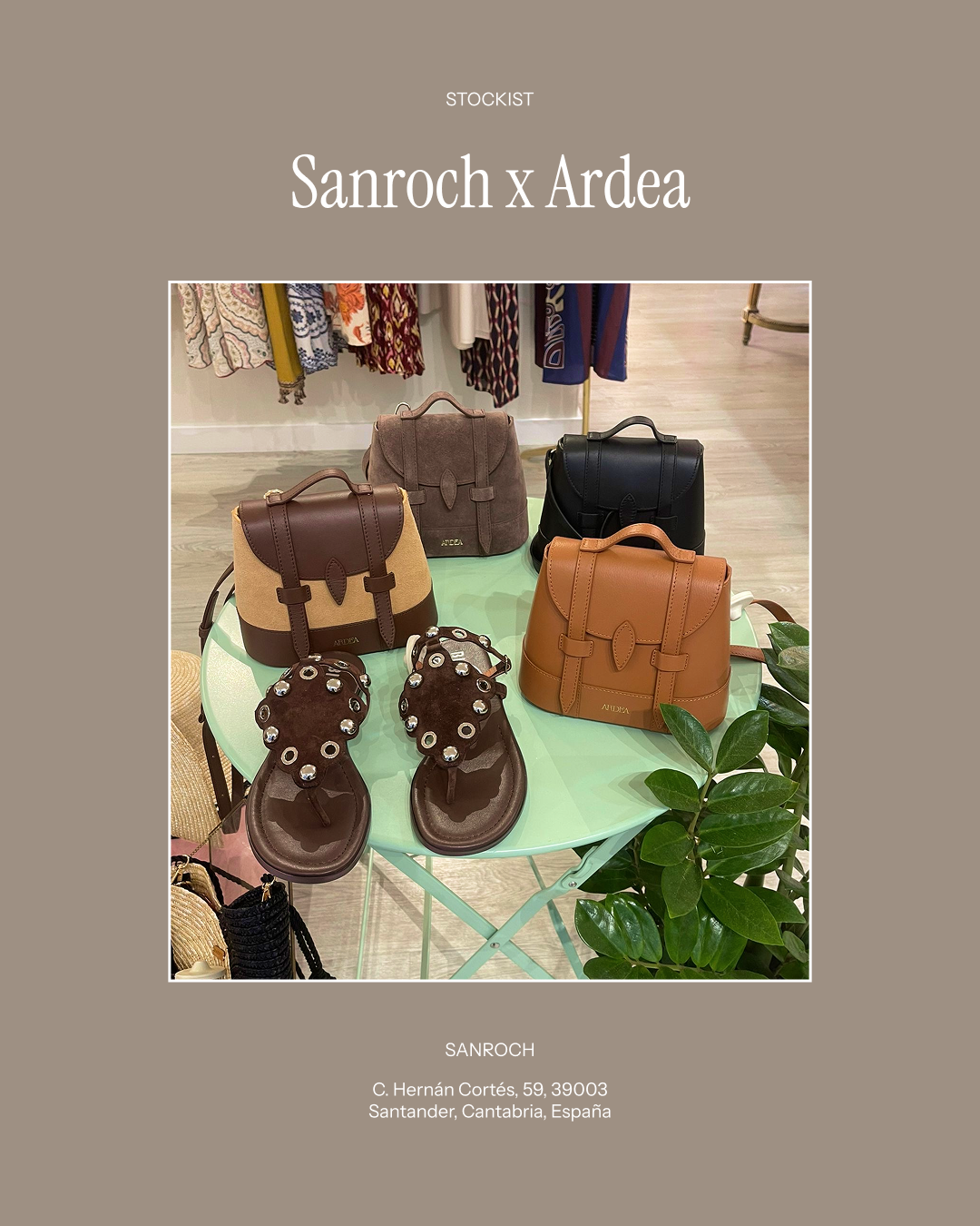 Ardea x Sanroch - Santander