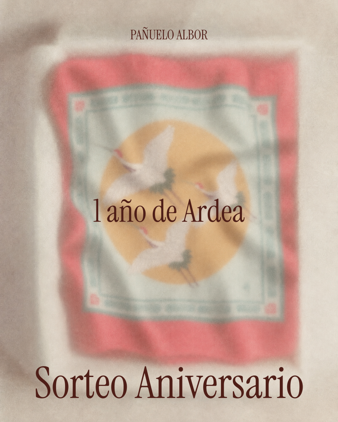 Sorteo Aniversario Ardea